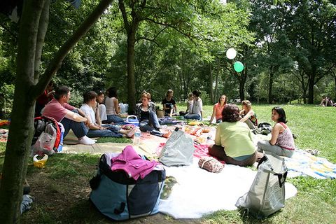 picnic4